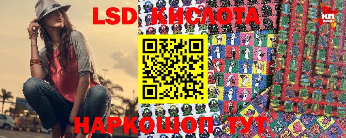 Псилоцибиновые грибы Ревда