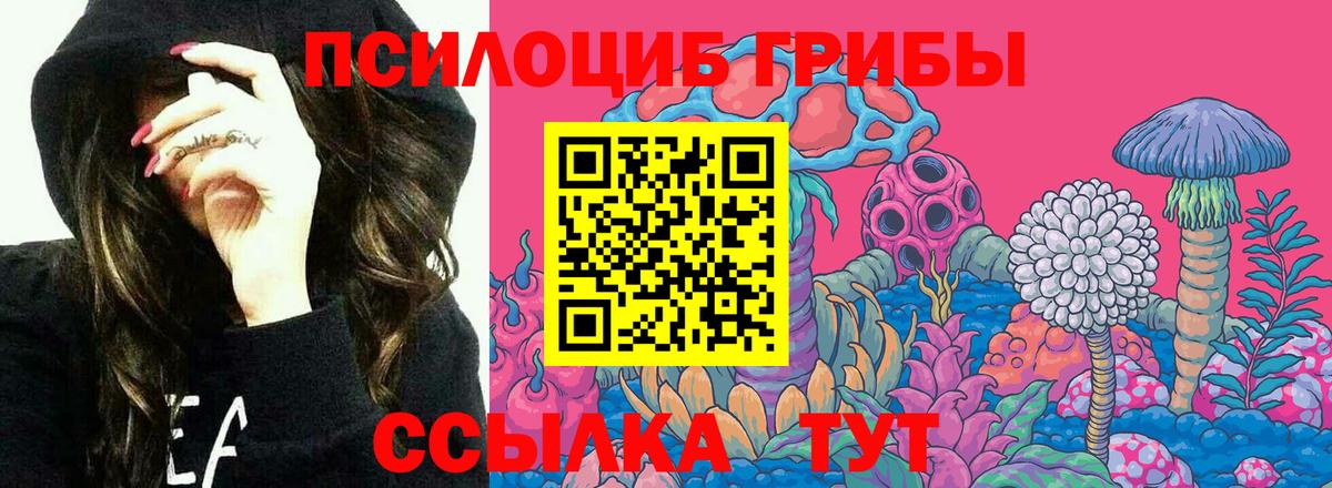 Псилоцибиновые грибы Cubensis Ревда